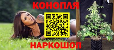 гидропоника Ставрополь