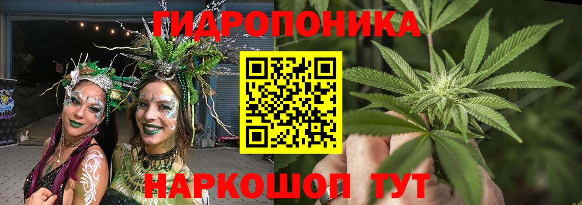 Бошки марихуана Bruce Banner  Вход с VPN  Муром  Бошки Шишки Bruce Banner 